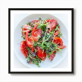 Tomato Salad Art Print