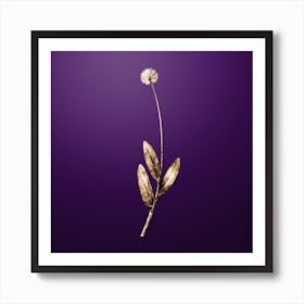 Gold Botanical Victory Onion on Royal Purple n.3276 Art Print