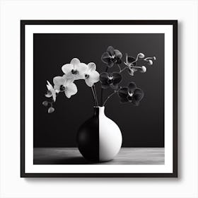 Black And White Orchids In A Vase Art Print