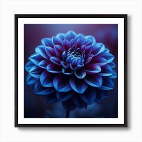 Indigo Dahlia 3 Art Print