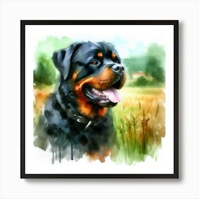 Watercolor Of Rottweiler Art Print