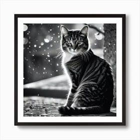 Cat In The Rain 1 Art Print