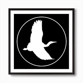 White Faced Heron In Flight Art Print