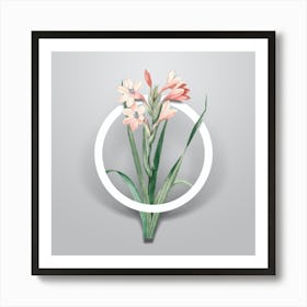Vintage Gladiolus Saccatus Minimalist Flower Geometric Circle on Soft Gray n.0077 Art Print