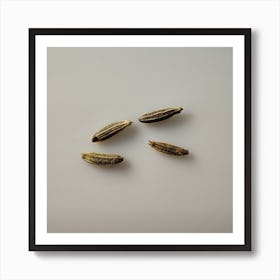 Fennel Seeds Art Print