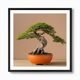 Green bonsai in orange pot Art Print