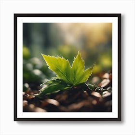 Leaf In The Forest Art Print