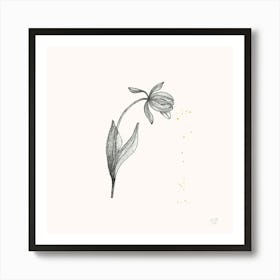 Tulip Black And White Botanical 2 Art Print