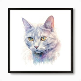 Australian Mist Shorthair Cat Portrait 2 Art Print