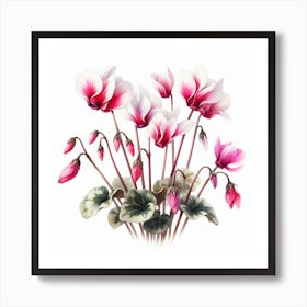 Flowers of Cyclamen 3 Art Print