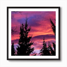 Sunset In The Forest Art Print