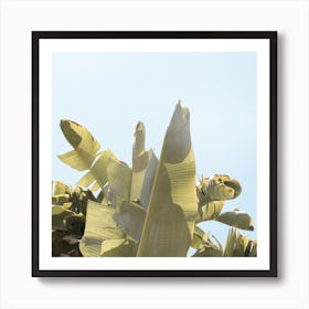 Tropical Banana Leaves Square Art Print