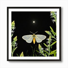 Moths Insect Lepidoptera Wings Antenna Nocturnal Flutter Attraction Lamp Camouflage Dusty (2) Art Print