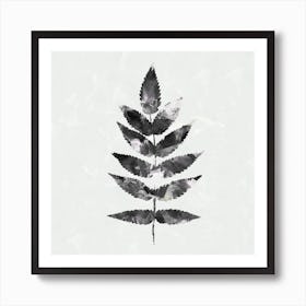Black White Botanical Watercolour Leave Square Art Print