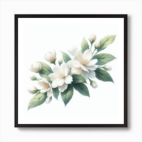 Flowers of Jasmine 3 Art Print