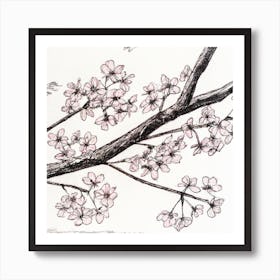 Cherry Blossoms 1 Art Print