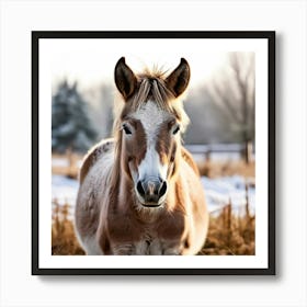 Horse Animal Grass Breeding Head Pasture Donkey Standing Farm Cute White Background Natu (2) Art Print