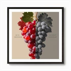 Grapes And Leaves Art Print