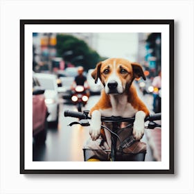 Dog On A Bike Art Print