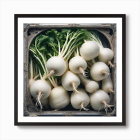 Turnip Art Print