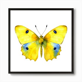 Yellow Butterfly Art Print