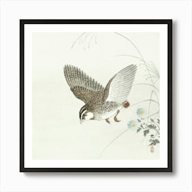 Flying Quail (1900 1930), Ohara Koson Art Print