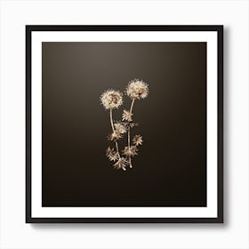 Gold Botanical Crucianella Flower Branch on Chocolate Brown n.3775 Art Print
