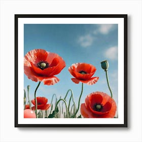 Poppies Art Print