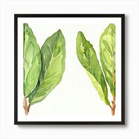 Two Leaves Of A Plant Art Print