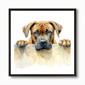 Boxer Dog 8 Art Print