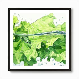 Water Lettuce Illustration Art Print