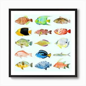 Aquamarine Fish Colourful Square Art Print