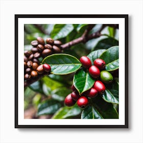 Coffee Beans On A Tree 47 Art Print