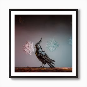 Alone in the Dark, A Cockatiel Art Print