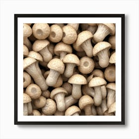 Close Up Of Mushrooms Art Print