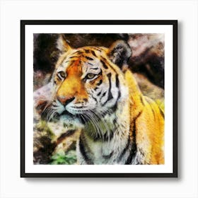 Tiger Feline Cat Predator Hunter Animal Wildlife Head Portrait Painting Nature Art Print