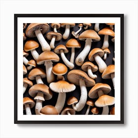 Mushroom Collection On A Black Background 1 Poster