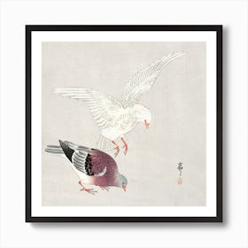 Two Pigeons (1877 1945), Ohara Koson Art Print