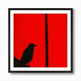 Silhouette Of A Crow Art Print