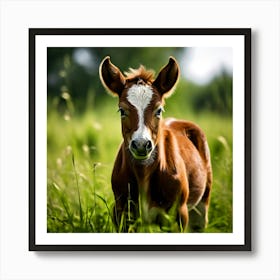 Grass Horse Green Brown Meadow Nature Young Baby Head Mammal Cow Calf Wild Donkey Pony (1) Art Print