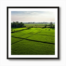 Grow Plant Green Background Field Aerial Landscape Pattern Agriculture Grass Harvesting C (2) Art Print