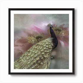 Peacock Art Print