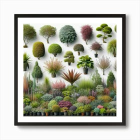 Many Plants In Pots Art Print