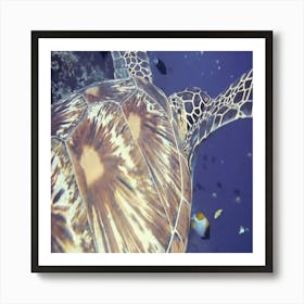 Real Views From The Depth Of The Sea 1 Art Print