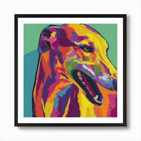 Greyhound Canvas Print Art Print