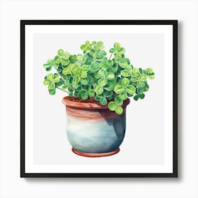 Shamrock Plant Art Print