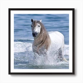 White horse in the sea Art Print