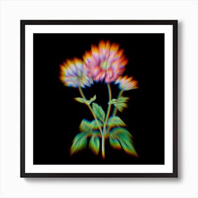 Prism Shift Hyacinth Botanical Illustration on Black n.0350 Art Print