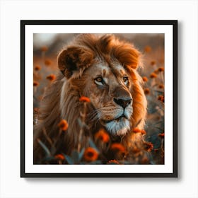 Lion In The Field Art Print