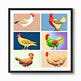 Chickens 4 Art Print